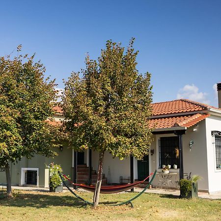 Вилла The Hobbit Hole Трикала Экстерьер фото